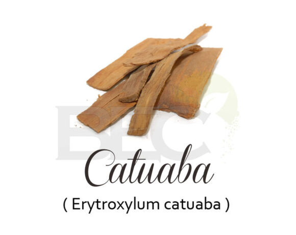 Catuaba ( Catuaba )
