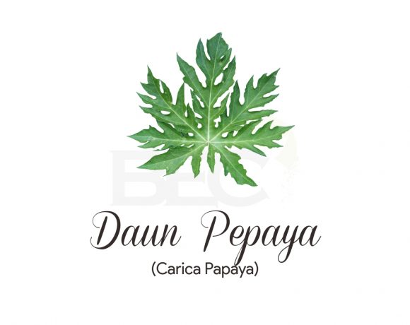 Pepaya Leaves ( Papaya Leaves )