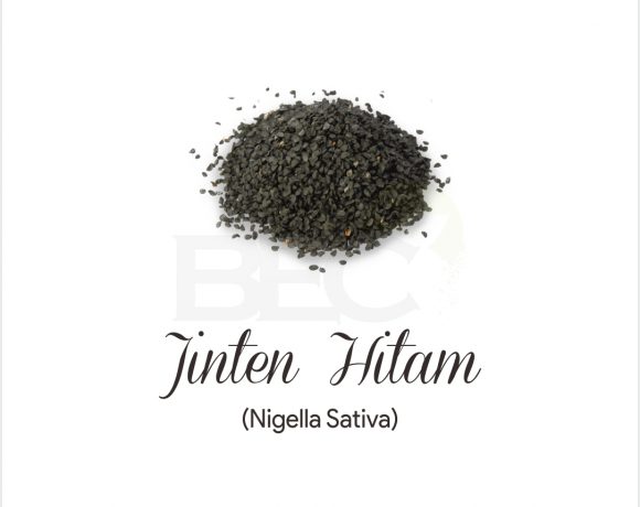 Jinten Hitam ( Black Cumin Seed )