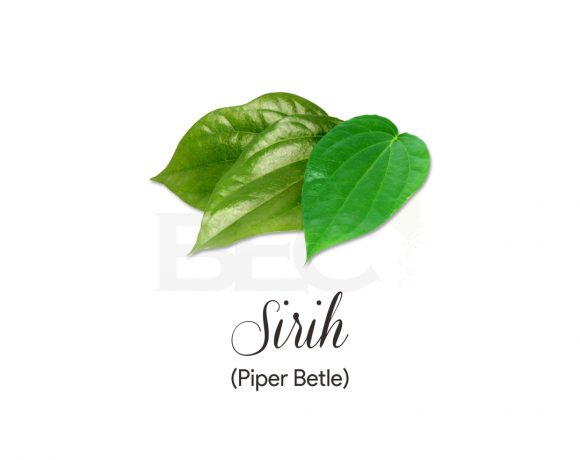 Sirih ( Betle Leaves )